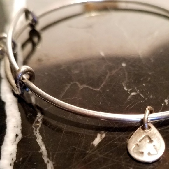 Alex And Ani Friend Charm Bangle Bracelet Russian - Picture 5 of 8